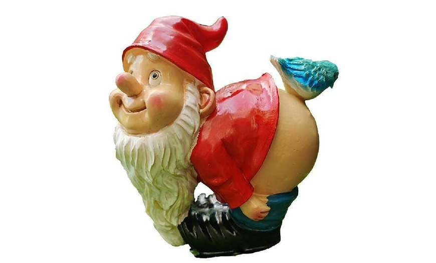 Image 6: Funny Gnome