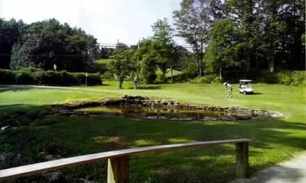 9-Hole Round of Golf & 6 Wine Tasting for 1 - Sky Water Wine Tasting Journeys Atlanta, Georgia 