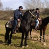 Image 1: Paseo a caballo de 1 hora con pincho y bebida para 2 o 4 personas