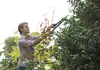 $49 for $150 Worth of Landscaping — GreenCity