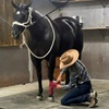 Image 3: Horseback Riding Lessons for All Ages – Develop Horsemanship Skills