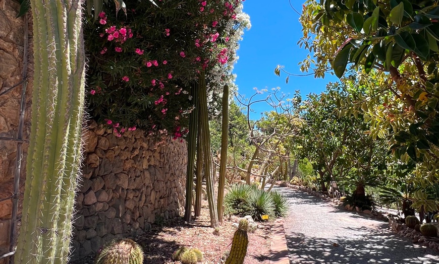 Image 7: Entrada al DinoPark Algar para toda la familia