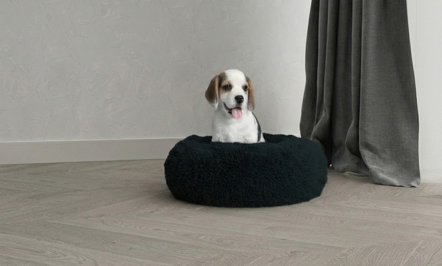 Image 3: Huisdierenbed met verhoogde randen