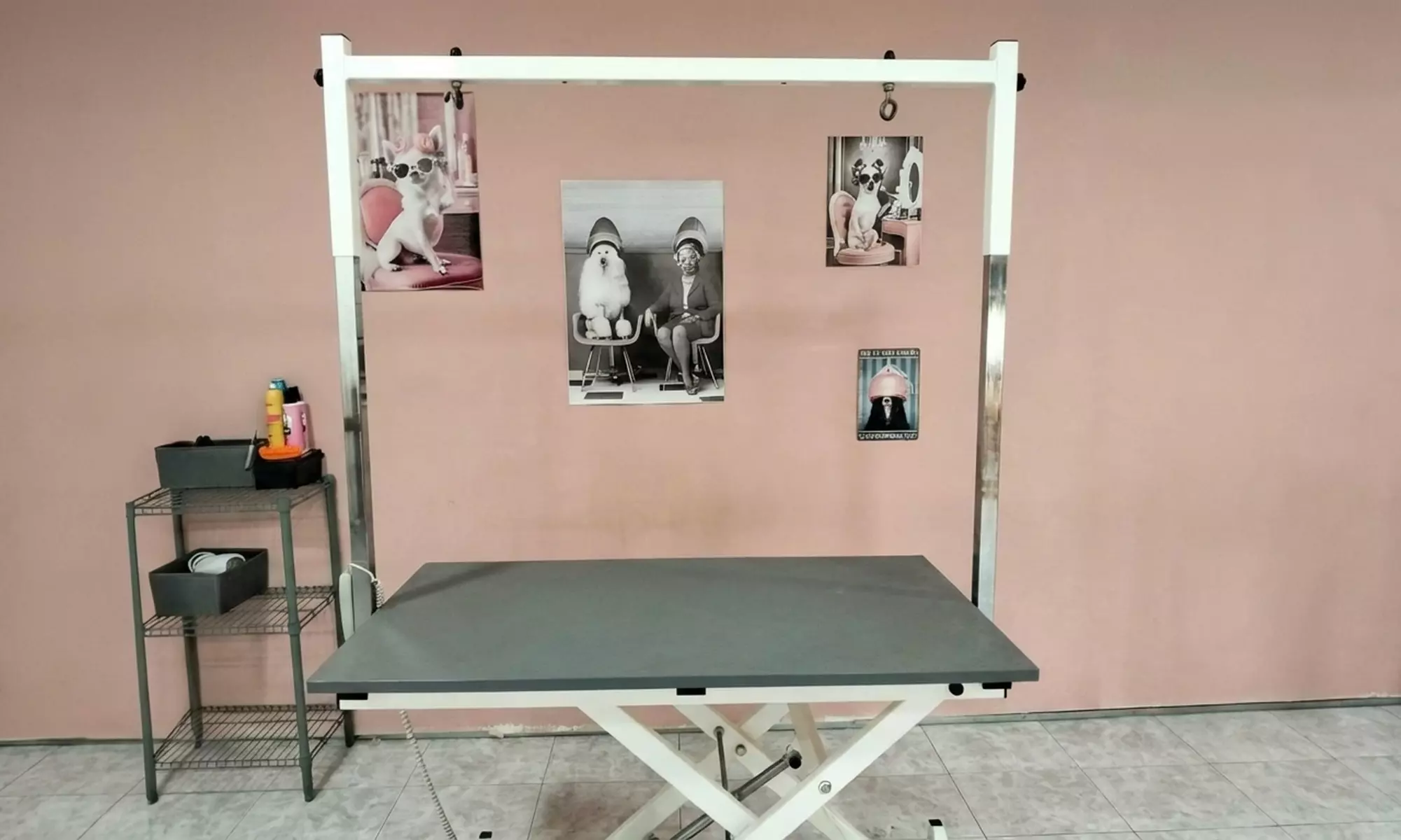 Sesión de peluquería canina con opción a corte