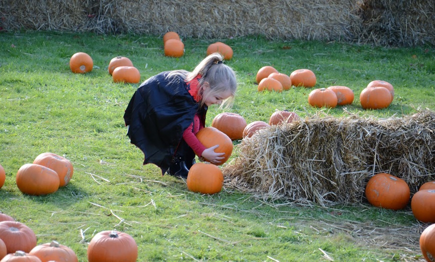 Halloween Train Fun for Kids - Rathwood | Groupon