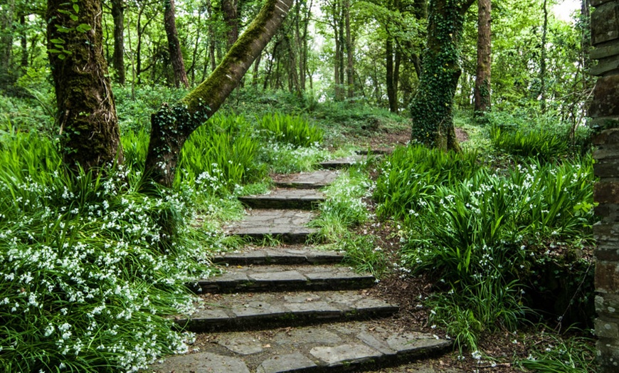 Image 4: Victorian Country House in West Cork