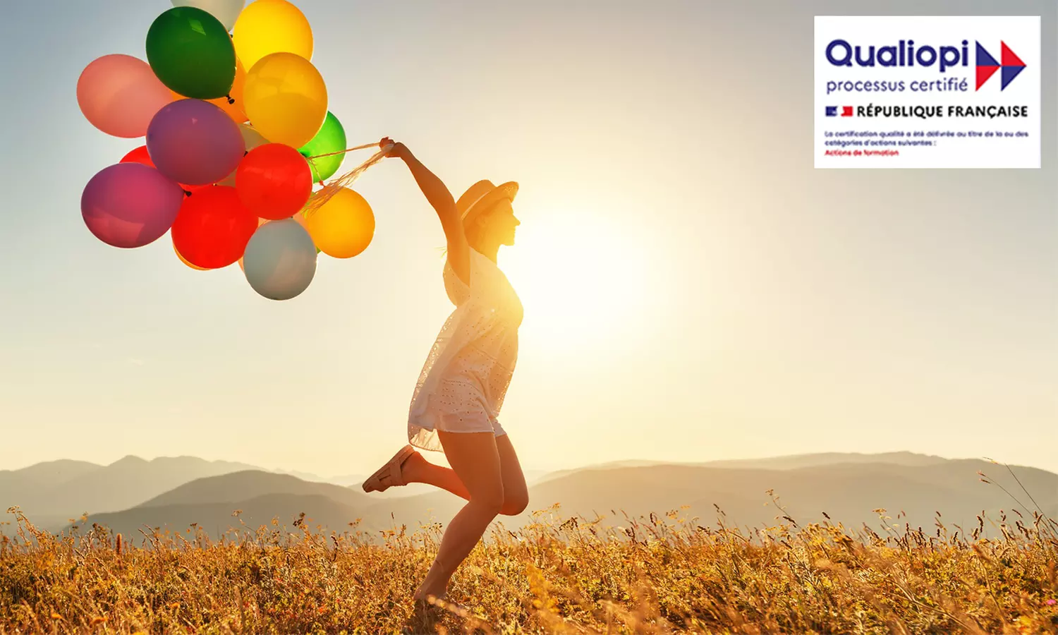 Formation en chromothérapie en ligne avec Meformer (88% de réduction) - Primary Image