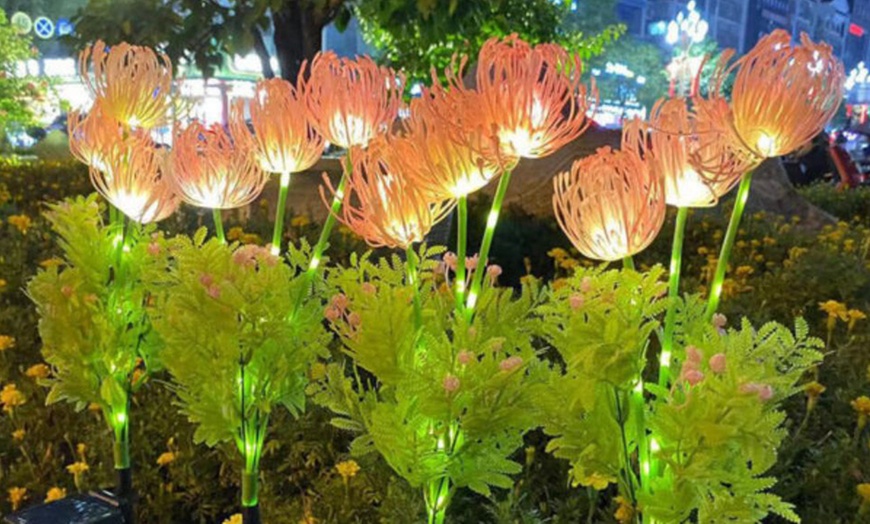 Image 4: One or Two Packs of Solar Outdoor Equinox Flower Lights