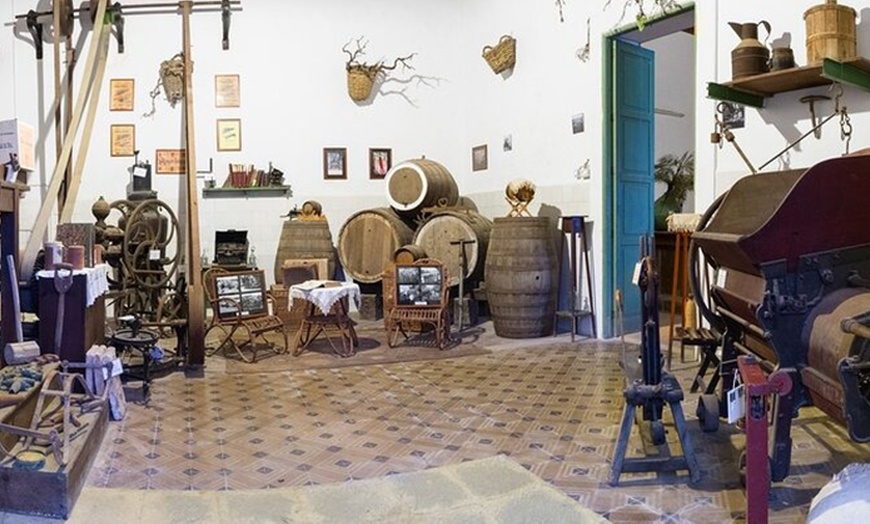 Image 6: Visita a Bodegas, Museo del Vino y cata con aperitivos