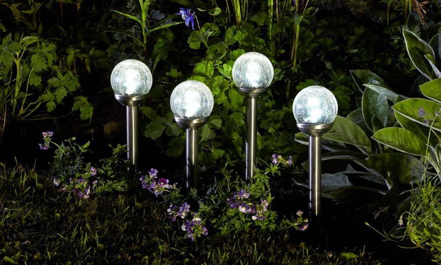 Image 3: Solar Globe Lights