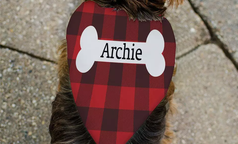 Personalized Dog Bandanas for Every Occasion