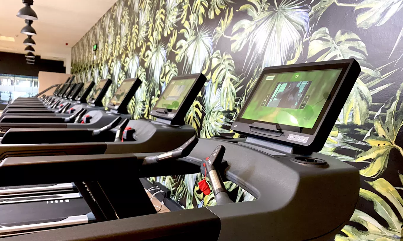 1, 3 o 6 meses de acceso a BeFit Valencia