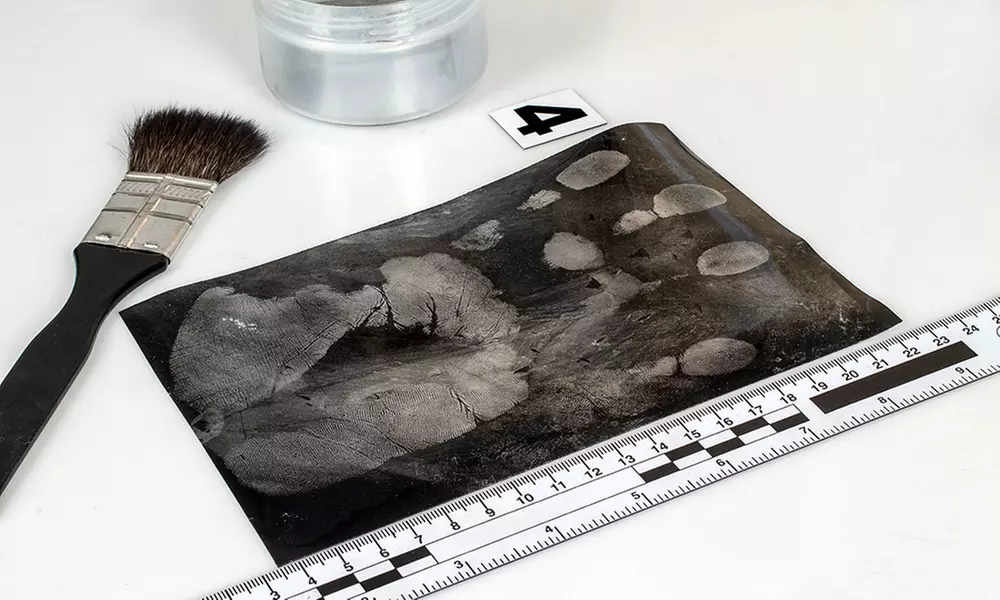 Criminology And Profiling Online Course from International Open Academy (95% Off) - Primary Image