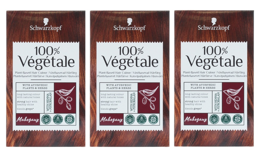 Image 17: Schwarzkopf Vegan Hair Dye