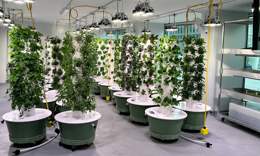 Image 1: Explore Urban Farming with a Tour for 1, 2, 3, 4, or 10 in Jersey City