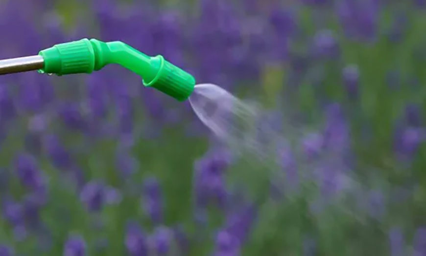 Image 5: 5L or 8L Outdoor Garden Pressure Sprayer