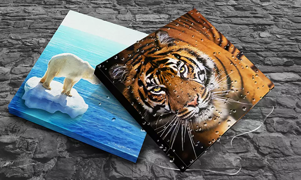 Custom Waterproof Indoor/Outdoor Canvas Wall Art (Up to 95% Off) - Primary Image