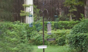 All-in-One Bird Feeding Station for Feeding, Drinking, and Bathing