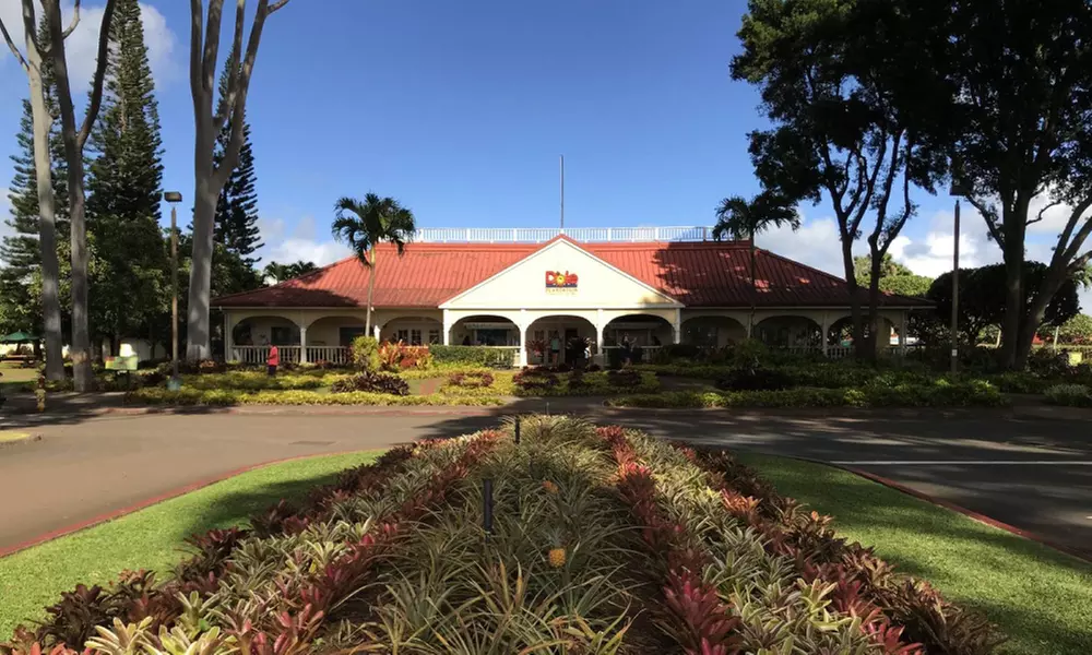 Full-Day 16 Location Tour Including Snorkeling with Tour Guide in Oahu