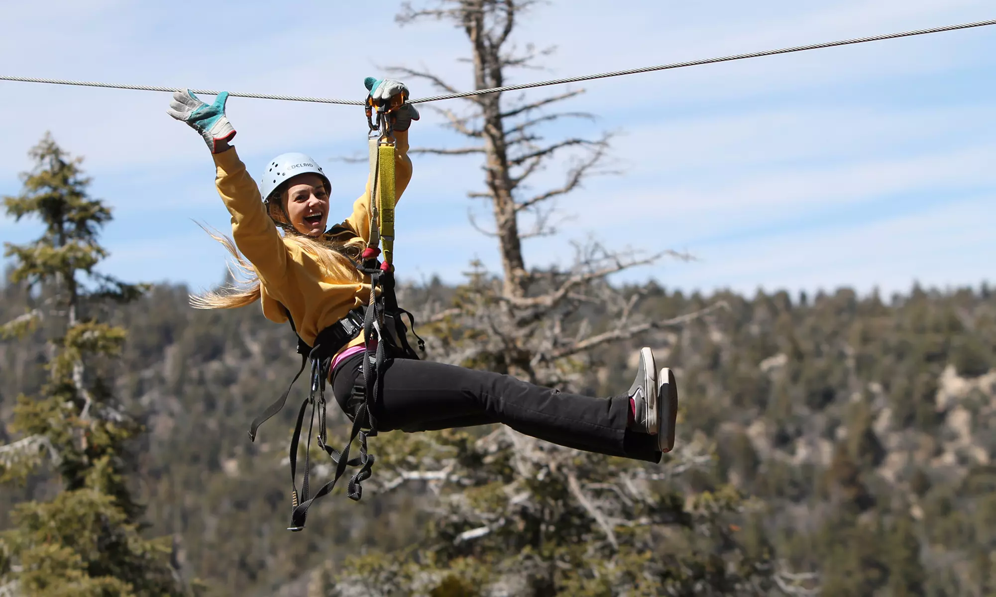 $129 for Three-Hour Zipline Tour with Photos on Flash Drive for One at Action Zipline Tours ($179 Value) - Primary Image