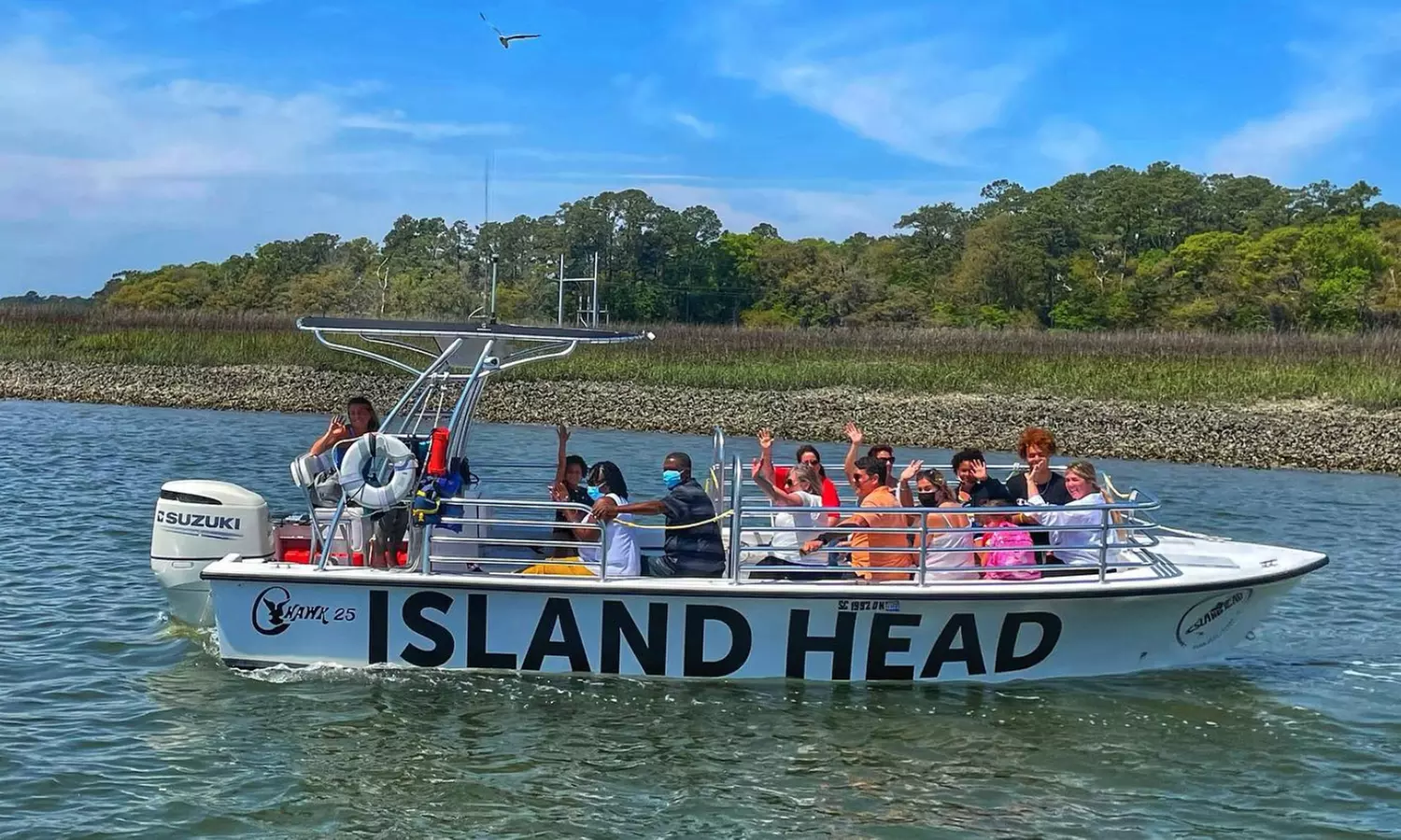 Embark on a Stunning 1.5 Hours of Dolphin Watching Tour at Island Head! - Second Medium