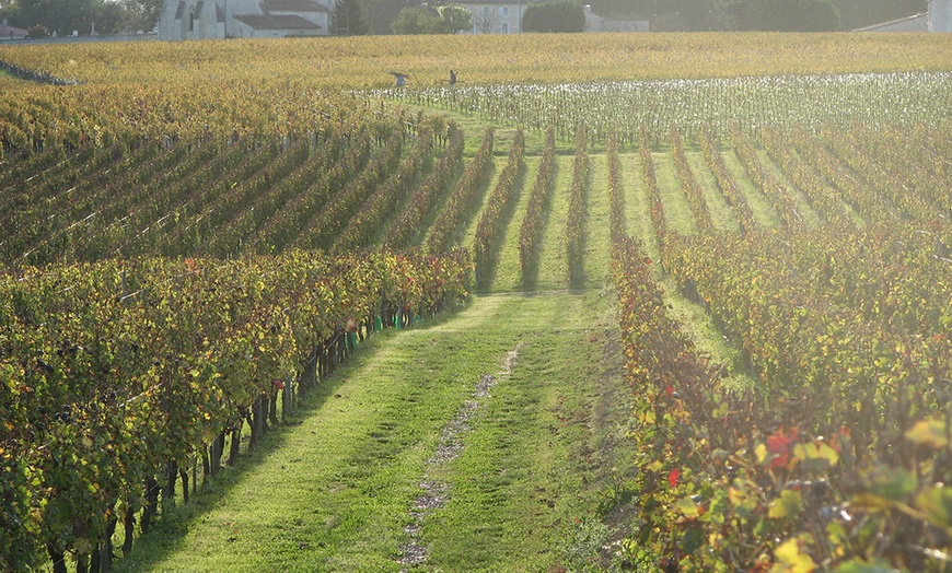 Image 4: Voyage dans le temps et les vignes, à deux