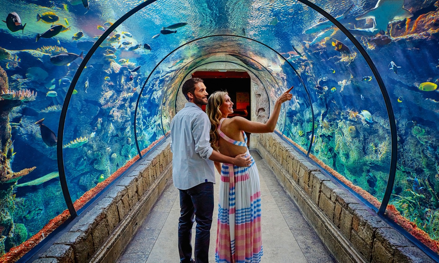 Dive Into Adventure at Shark Reef Aquarium + Undersea Explorer VR at Mandalay Bay