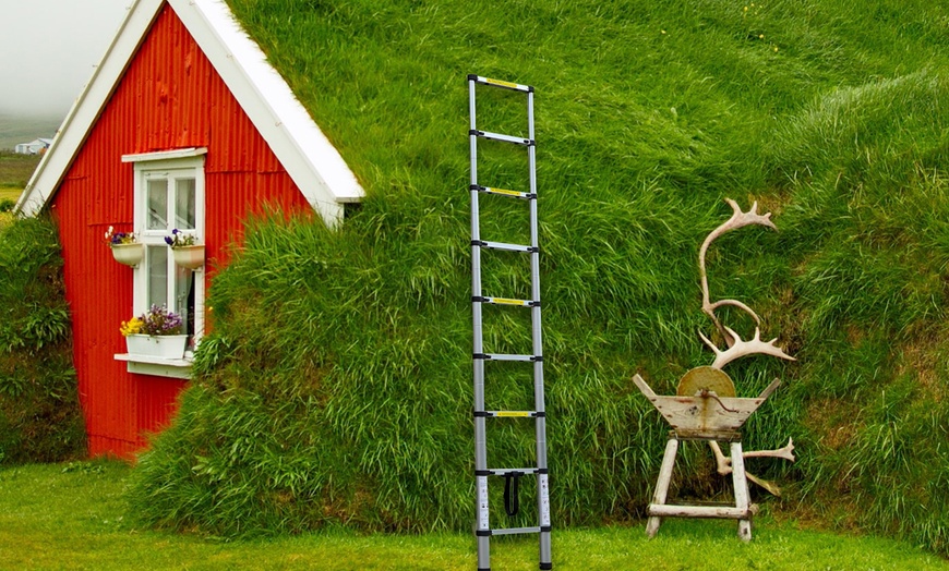 Image 11: Herzberg uitschuifbare ladder