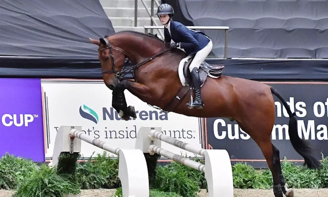 Discover Olde Towne Equestrian Center's private lessons for one with up to 27% off - Primary Image