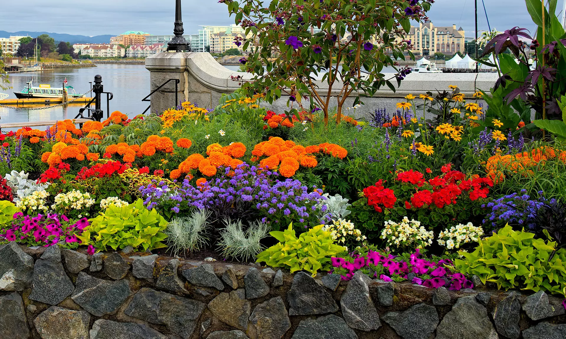 Rock Garden Flower Bulb Mix (55 Bulbs) - Primary Image