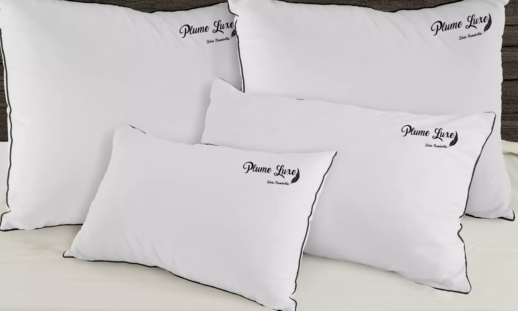 1, 2 ou 4 oreillers ''Plumes'' luxe, 100 % coton blanc, bordure noire chic et soyeuse, plumes de canard, Sampur - Primary Image