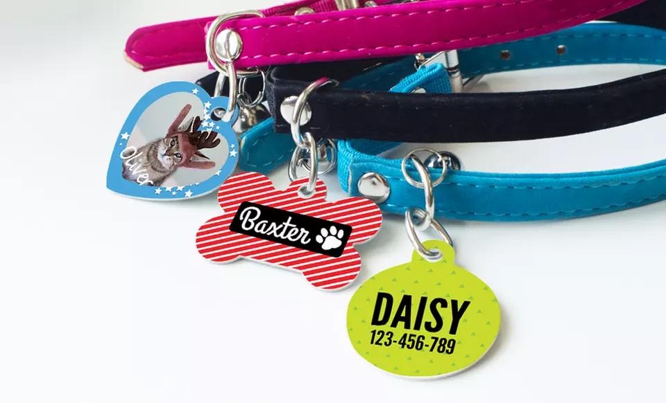 One or Two Personalized Pet Tags from Photobook Canada (Up to 65% Off) - Primary Image