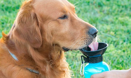 Fino a 4 borracce portatile per cani