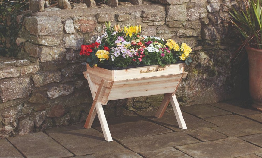 Image 31: Garden Grow Raised Wooden Cold Frame