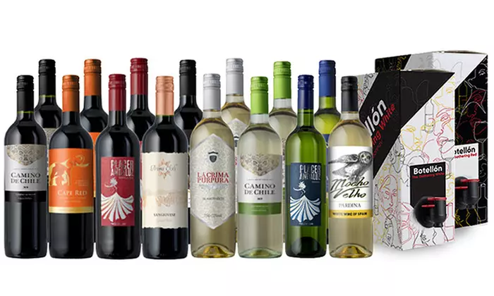Biggest Box Ever from Splash Wines (74% Off) - Primary Image