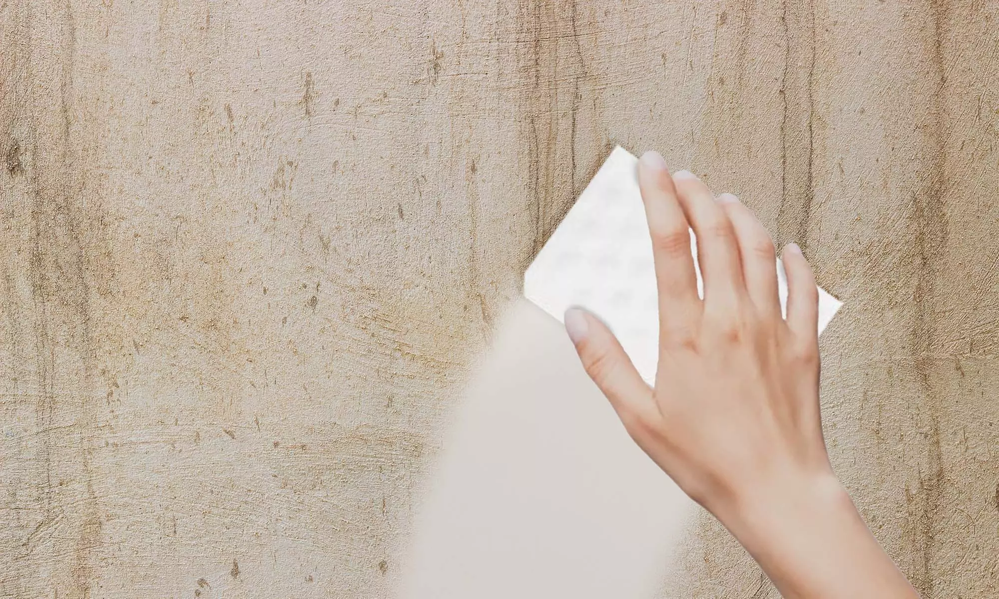 Lo de 3, 6, 9 ou 15 éponges pour laver les murs à la mousse de mélamine - Primary Image