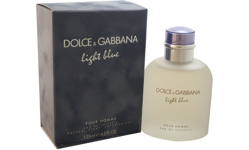 dolce and gabbana light blue kohl's