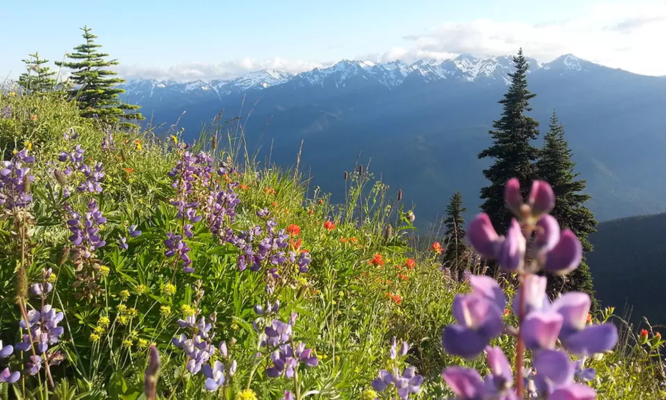 1- or 2-Night Stay for Two with Daily Breakfast at Lost Mountain Lodge in Sequim, WA. Combine Up to 4 Nights. - Primary Image