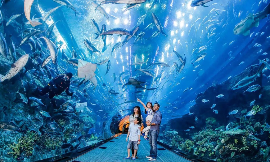 Image 6: Explore World’s Largest Suspended Acrylic Aquarium Inside Dubai Mall
