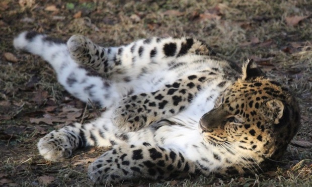 What to expect media