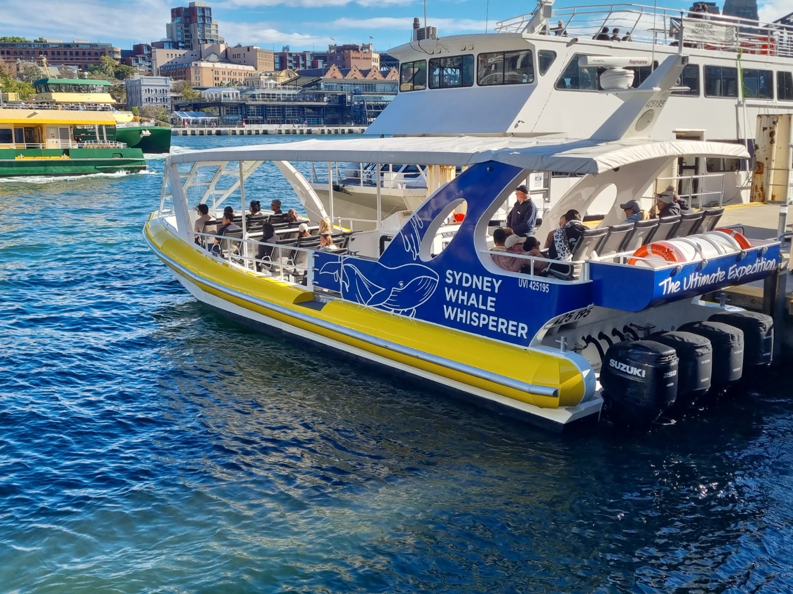 Sydney Whale Whisperer
