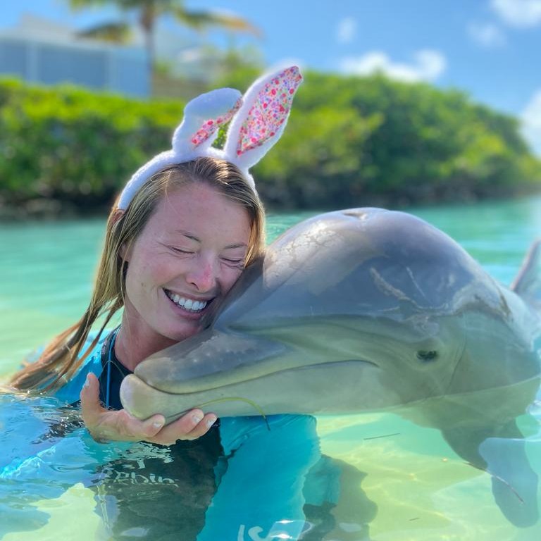 Dolphin