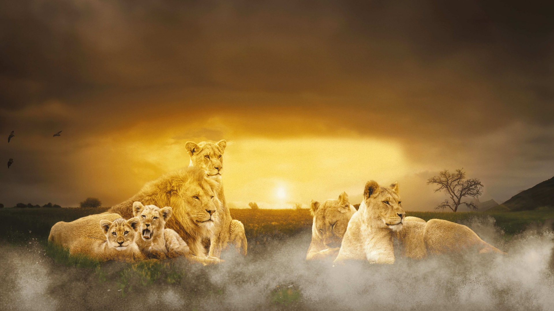 Lumigny-Safari-Reserve