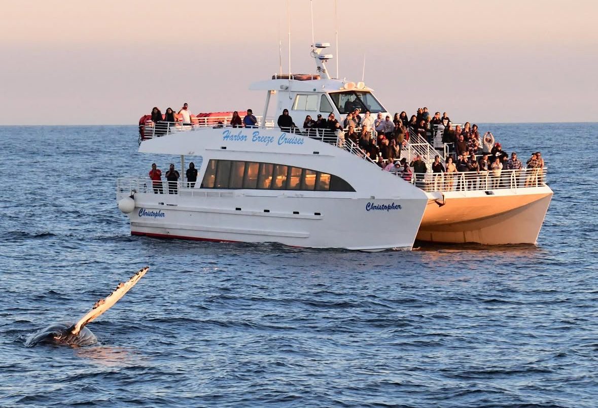 What to expect media