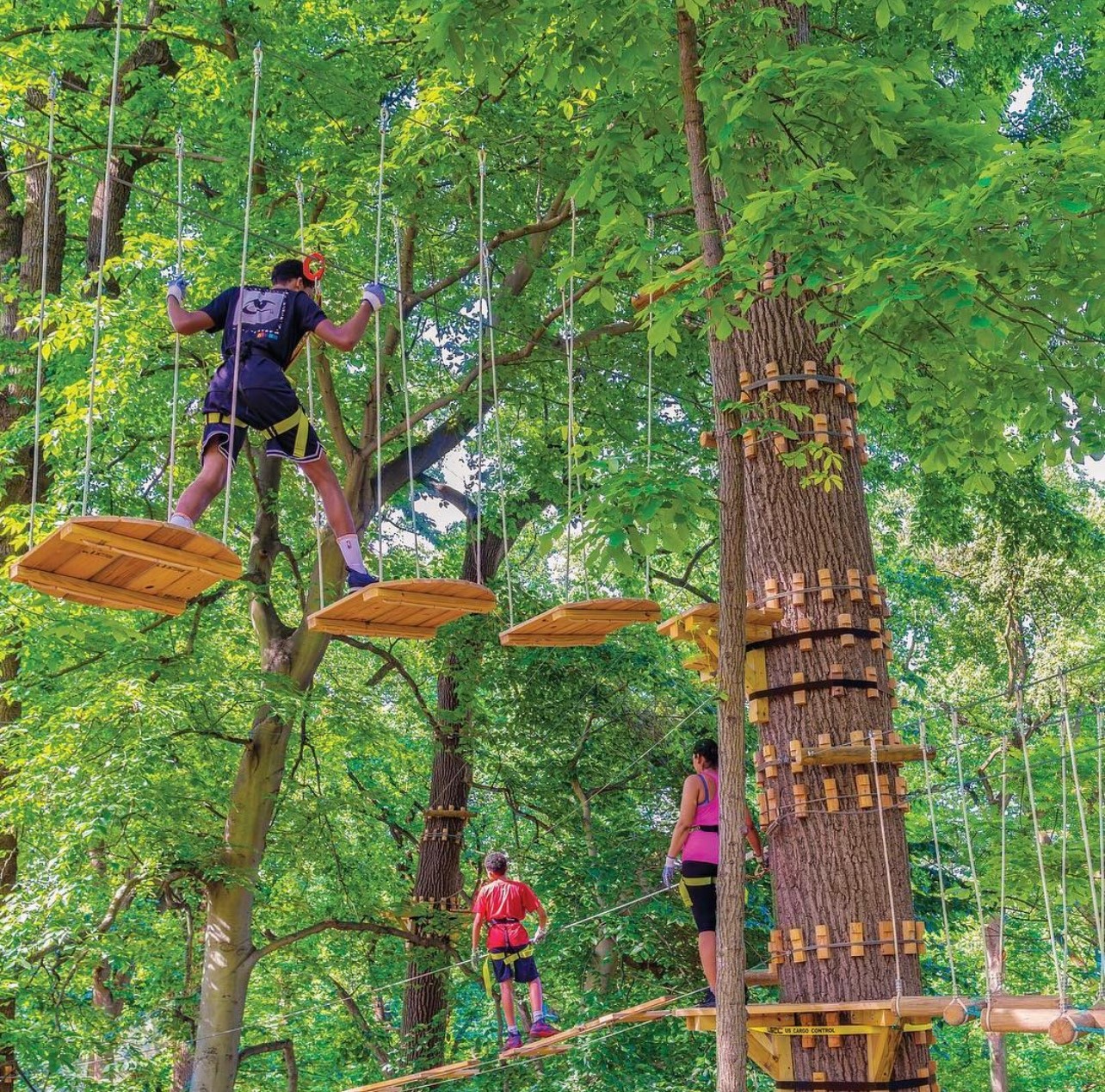 What to expect media