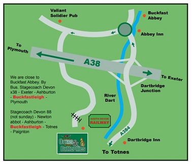 Buckfast Butterfly Farm and Dartmoor Otter Sanctuary