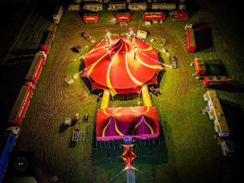 The Crazy Bear Group