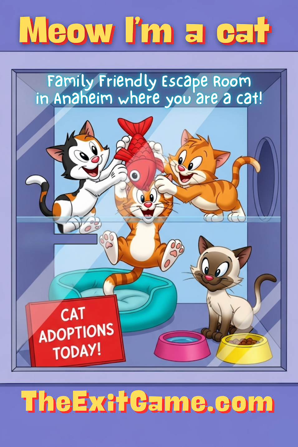 What to expect media