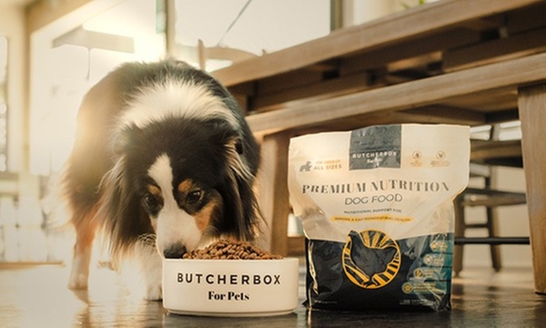 https://butcherboxforpets.com/