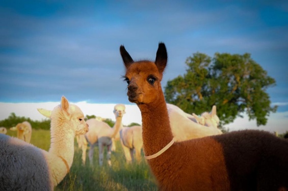 photo-2023-11-09-10-08-50 (1)